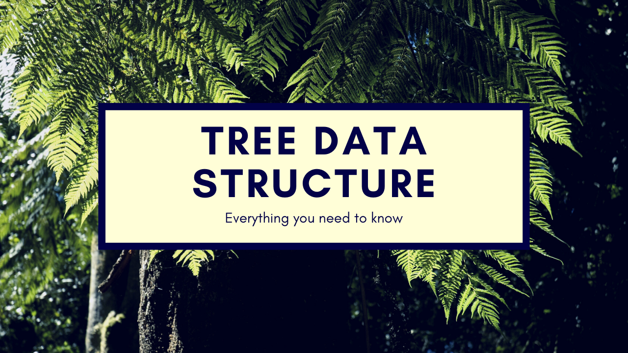 Everything you need to know about tree data structure